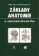 Základy anatomie 5: Anatomie krajin těla