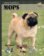 Mops