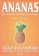 Ananas - Léčivá rostlina budoucnosti