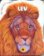Moji kamarádi zvířátka - Lev