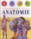 Ilustrovaný atlas anatomie