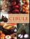 Cibule - Rady, krása, zdraví, recepty