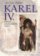 Karel IV. - Portrét středověkého vládce