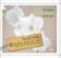 Orchideje - Rychlý rádce: 99 rad pro rychlé řešení problémů