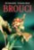 Brouci