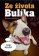 Ze života Bulíka