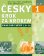 Česky krok za krokem 1. - Pracovní sešit Lekce 13–24