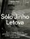 Sólo Jiřího Letova: Život a činnost důstojníka generálního štábu a experta na lágry podle archivních dokumentů a jeho deníků