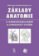Základy anatomie 2 - Kardiovaskulární a lymfatický systém