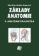 Základy anatomie 5 - Anatomie krajin těla