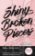 Shiny Broken Pieces - Tiny Pretty Things 2