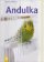 Andulka