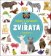 Zvířata - Hledej v obrázcích