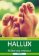 Hallux - Řešení bez operace