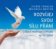 Rozvíjej svou sílu přání (kalendář) – Cvičení, meditace a rituály na 52 týdnů
