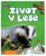 Život v lese