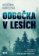 Odbočka v lesích