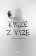Krize z vize