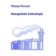 Anorganická technologie
