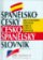 Španělsko-český/česko španělský slovník - 2. vydání