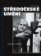 Středočeské umění - Václav Frolík