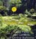Great Parks and Gardens of Central Bohemia