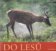 Do lesů