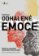 Odhalené emoce
