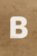 Bible21 XL