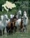 Za lipicány po hřebčínech Evropy / A Journey Through the Lipizzan Stud Farms of Europe