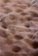 Multilogues on the Now: On Glands, Membranes and Cavities