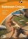 Robinson Crusoe Level 4 Intermediate