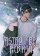 Astrolabe Rebirth (Novel)