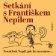 Setkání s Františkem Nepilem