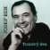 Josef Bek: Toulavý den