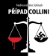 Případ Collini