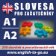 Angličtina – Slovesa pro začátečníky