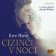Cizinci v noci
