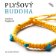 Plyšový Buddha