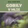 Gorily v mlze