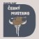 Černý mustang