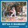 Bitva o diamant