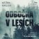 Odbočka v lesích