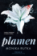 Plamen