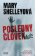 Posledný človek