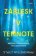 Záblesk v temnote