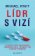 Lídr s vizí