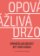 Opovážlivá drzost být sám sebou