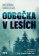 Odbočka v lesích