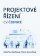 Projektové řízení